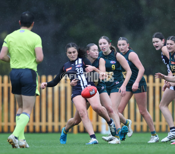 Coates League Girls 2024 - Geelong v Tasmania - A-52223105