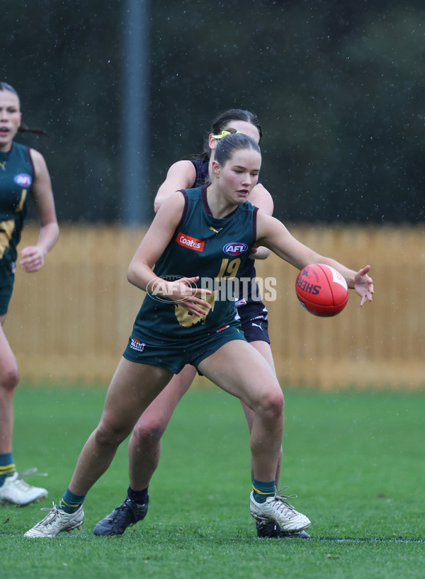 Coates League Girls 2024 - Geelong v Tasmania - A-52223106