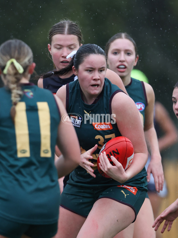 Coates League Girls 2024 - Geelong v Tasmania - A-52223108