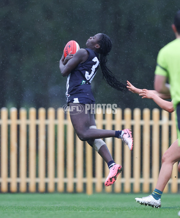 Coates League Girls 2024 - Geelong v Tasmania - A-52223109