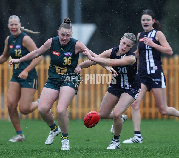 Coates League Girls 2024 - Geelong v Tasmania - A-52223281