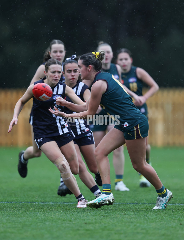 Coates League Girls 2024 - Geelong v Tasmania - A-52223282