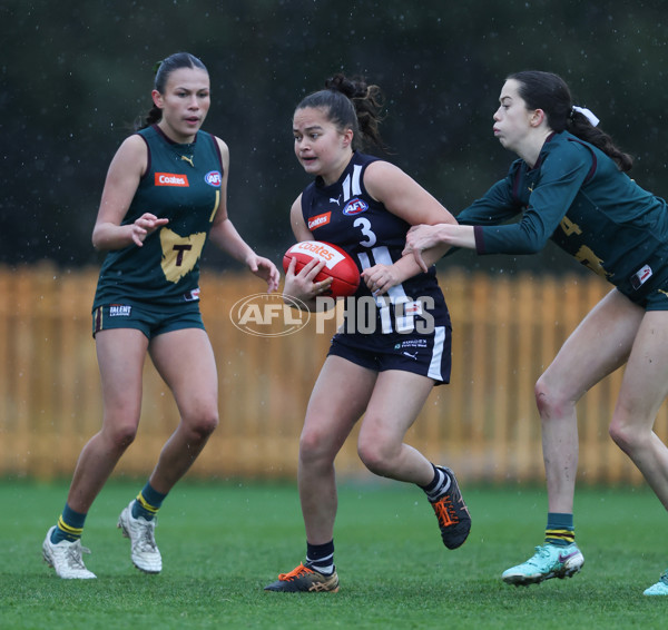 Coates League Girls 2024 - Geelong v Tasmania - A-52223288