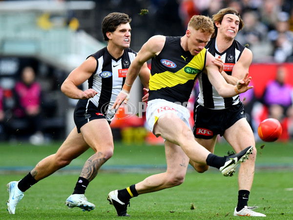 AFL 2024 Round 20 - Collingwood v Richmond - A-52223358