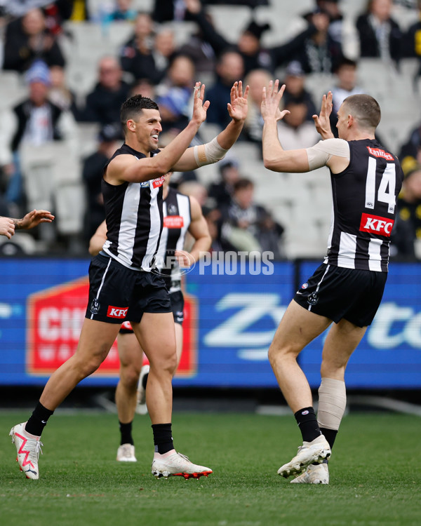 AFL 2024 Round 20 - Collingwood v Richmond - A-52223361