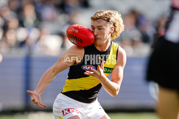 AFL 2024 Round 20 - Collingwood v Richmond - A-52225415