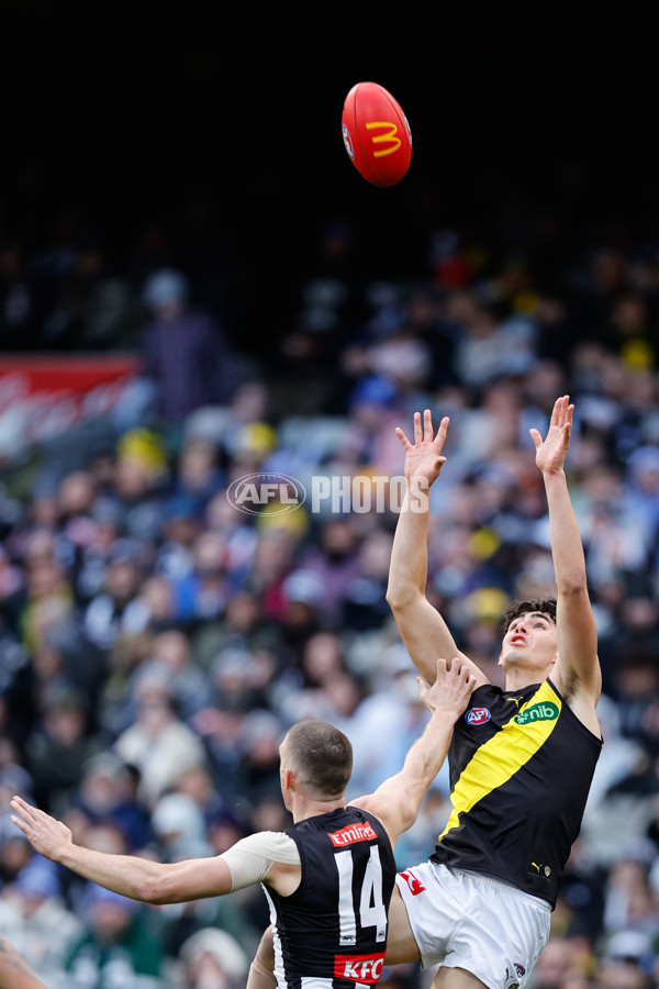 AFL 2024 Round 20 - Collingwood v Richmond - A-52225416