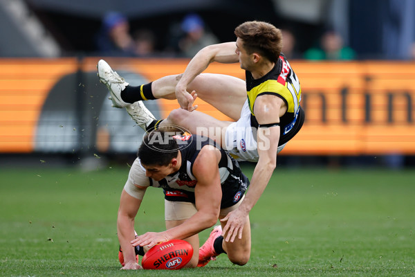 AFL 2024 Round 20 - Collingwood v Richmond - A-52225418