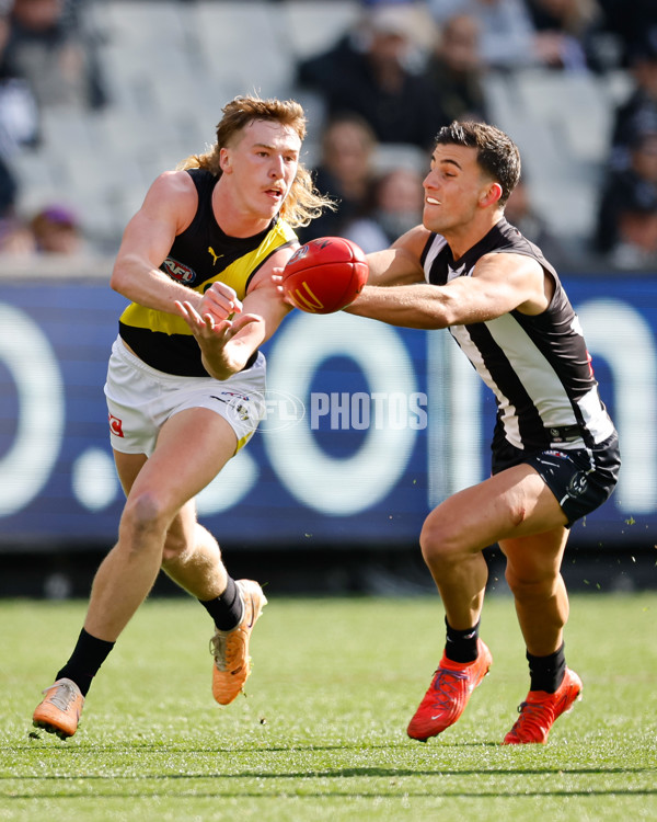 AFL 2024 Round 20 - Collingwood v Richmond - A-52225419