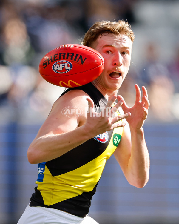 AFL 2024 Round 20 - Collingwood v Richmond - A-52225421