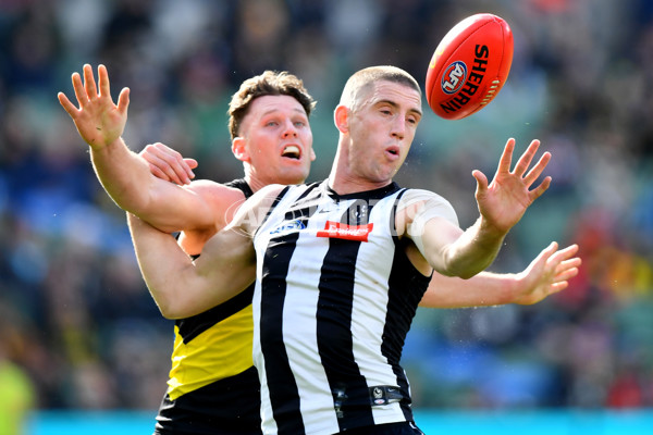 AFL 2024 Round 20 - Collingwood v Richmond - A-52225425