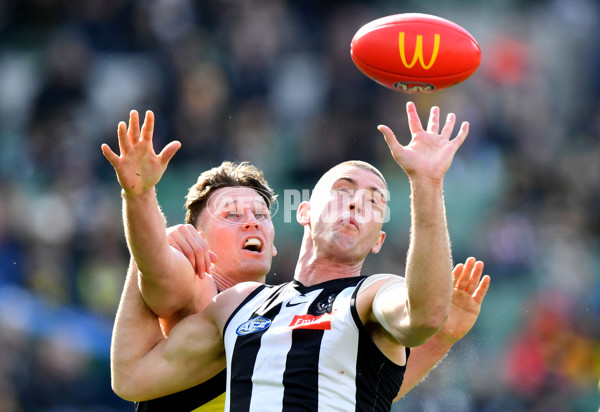 AFL 2024 Round 20 - Collingwood v Richmond - A-52225426
