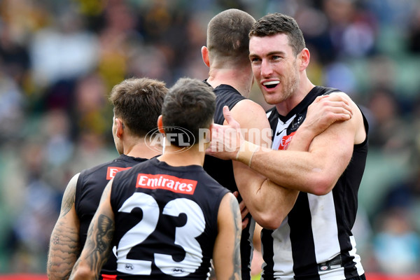 AFL 2024 Round 20 - Collingwood v Richmond - A-52225433