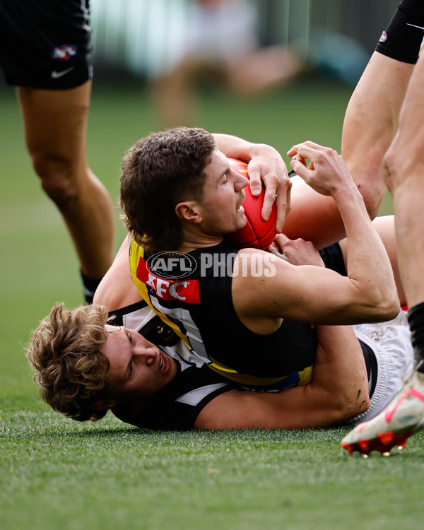 AFL 2024 Round 20 - Collingwood v Richmond - A-52225463