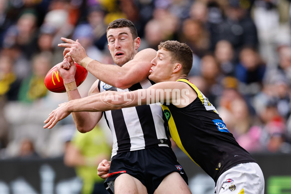 AFL 2024 Round 20 - Collingwood v Richmond - A-52225465