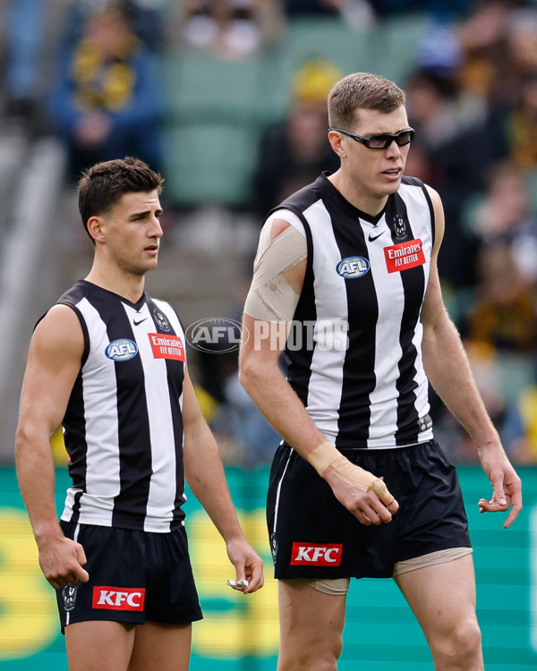 AFL 2024 Round 20 - Collingwood v Richmond - A-52225467