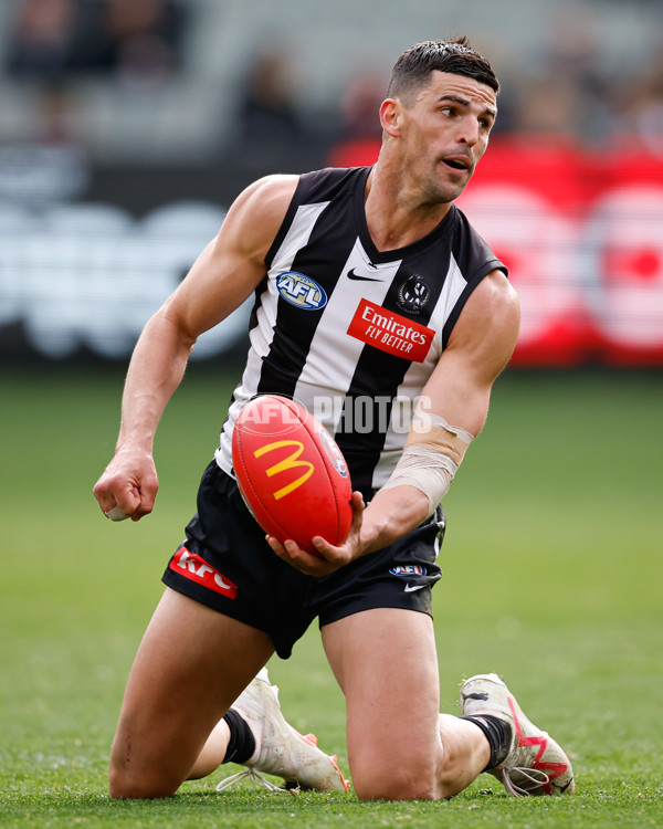 AFL 2024 Round 20 - Collingwood v Richmond - A-52225468