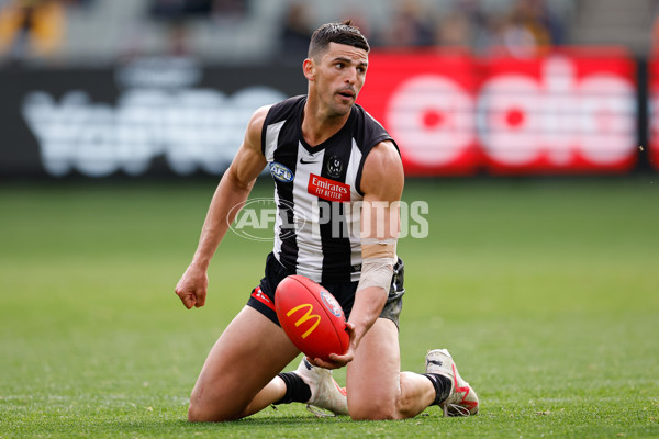 AFL 2024 Round 20 - Collingwood v Richmond - A-52225469