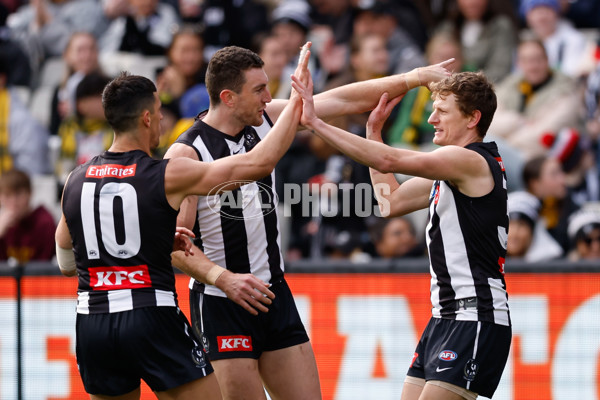 AFL 2024 Round 20 - Collingwood v Richmond - A-52225471