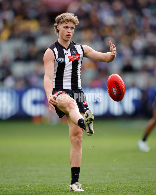 AFL 2024 Round 20 - Collingwood v Richmond - A-52225475