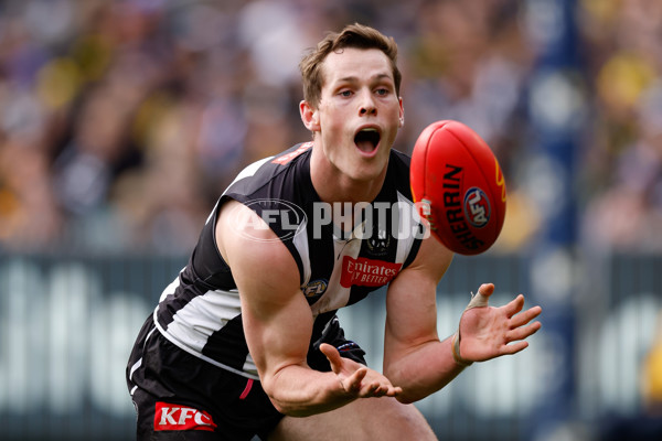 AFL 2024 Round 20 - Collingwood v Richmond - A-52225477