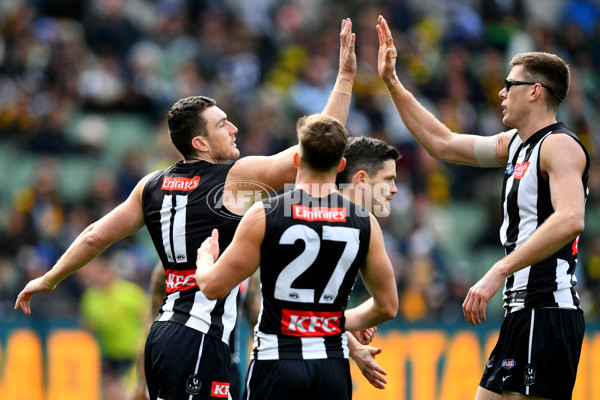 AFL 2024 Round 20 - Collingwood v Richmond - A-52226214