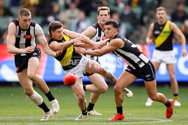 AFL 2024 Round 20 - Collingwood v Richmond - A-52226225