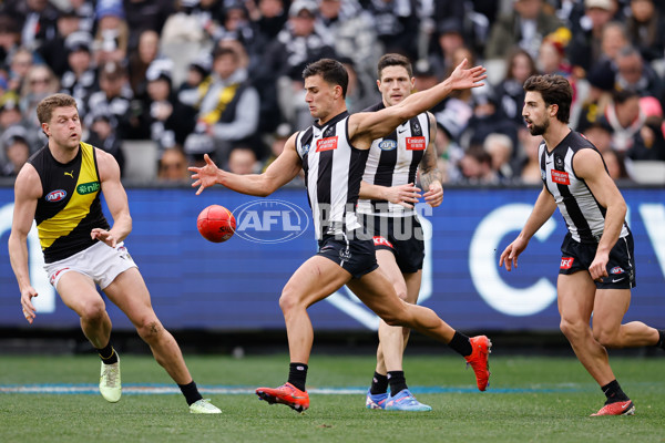 AFL 2024 Round 20 - Collingwood v Richmond - A-52226226