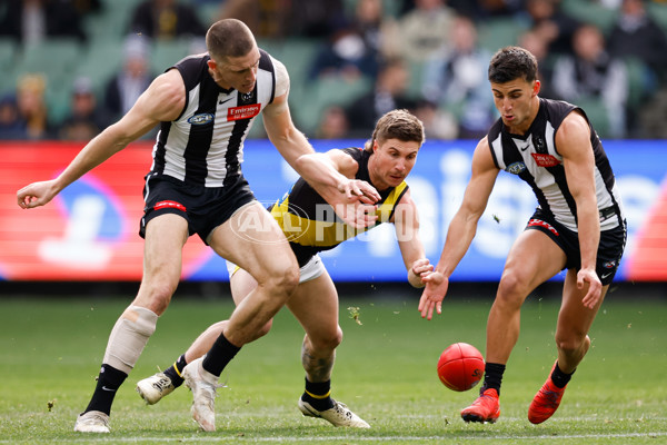 AFL 2024 Round 20 - Collingwood v Richmond - A-52226229