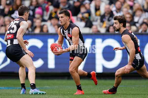 AFL 2024 Round 20 - Collingwood v Richmond - A-52226230