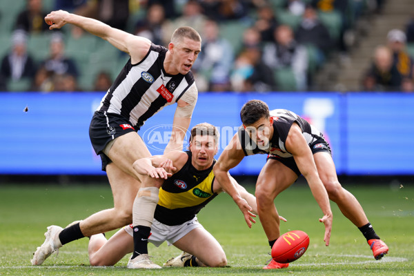 AFL 2024 Round 20 - Collingwood v Richmond - A-52226236