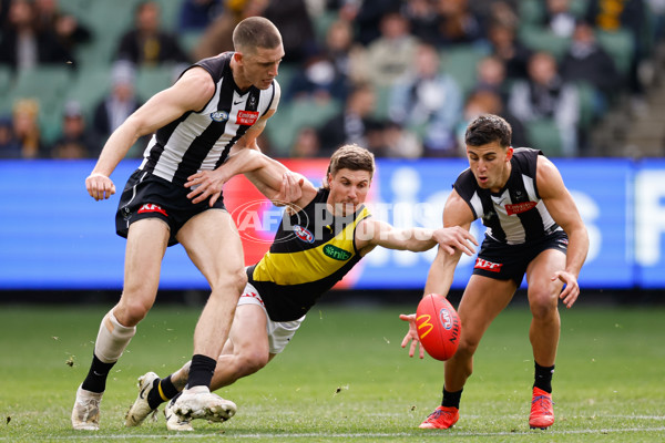 AFL 2024 Round 20 - Collingwood v Richmond - A-52226237