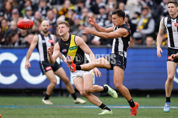 AFL 2024 Round 20 - Collingwood v Richmond - A-52226239