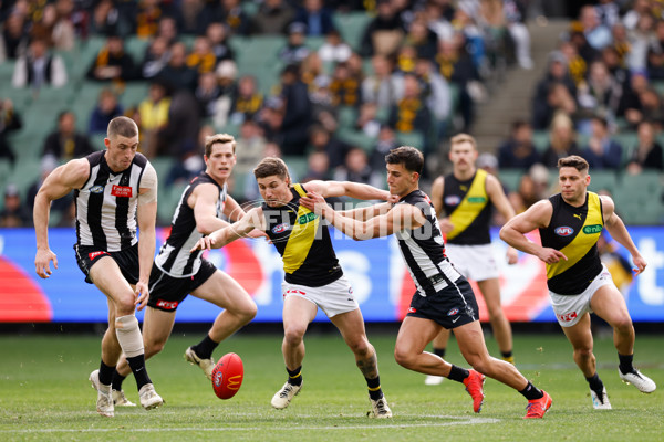 AFL 2024 Round 20 - Collingwood v Richmond - A-52226241