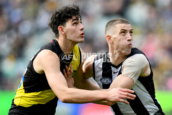 AFL 2024 Round 20 - Collingwood v Richmond - A-52226259