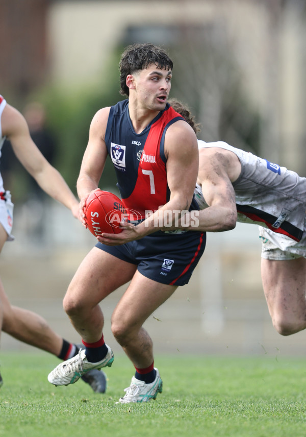 VFL 2024 Round 18 - Coburg v Frankston - A-52228131