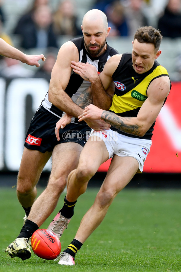 AFL 2024 Round 20 - Collingwood v Richmond - A-52228151