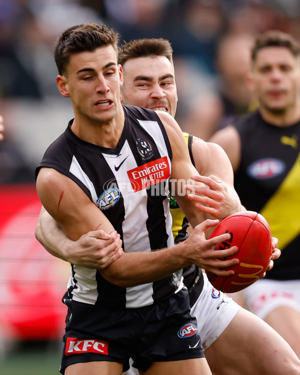 AFL 2024 Round 20 - Collingwood v Richmond - A-52228177