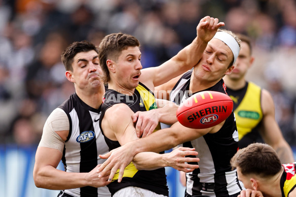 AFL 2024 Round 20 - Collingwood v Richmond - A-52228179