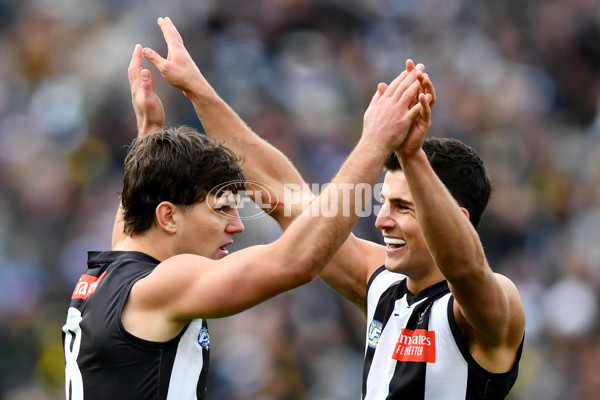 AFL 2024 Round 20 - Collingwood v Richmond - A-52228195