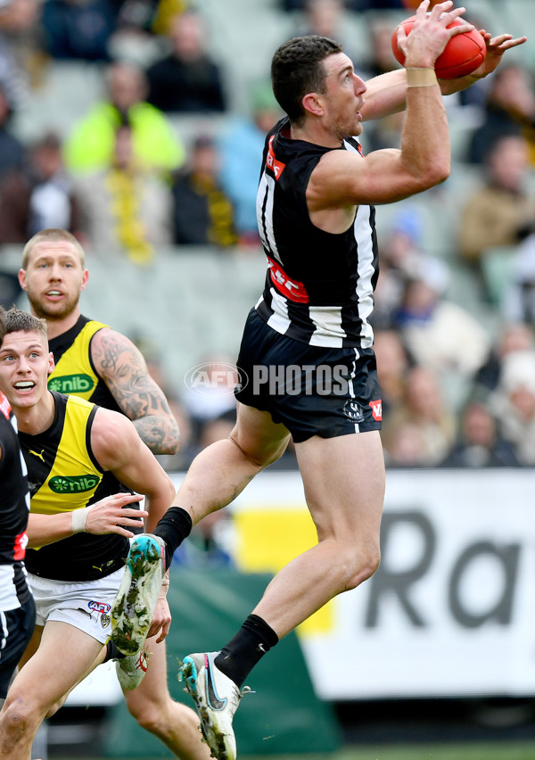 AFL 2024 Round 20 - Collingwood v Richmond - A-52228202