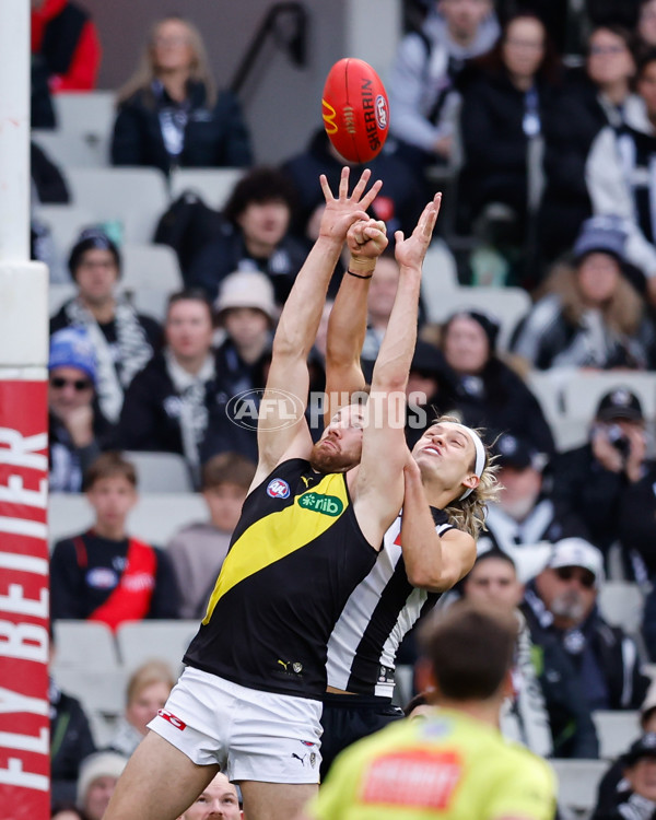 AFL 2024 Round 20 - Collingwood v Richmond - A-52228615