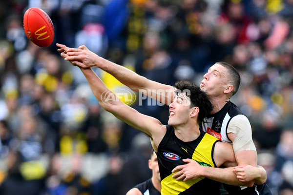 AFL 2024 Round 20 - Collingwood v Richmond - A-52228635