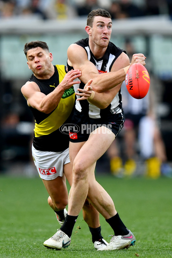 AFL 2024 Round 20 - Collingwood v Richmond - A-52228695