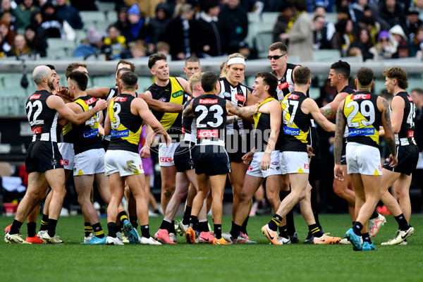 AFL 2024 Round 20 - Collingwood v Richmond - A-52228703