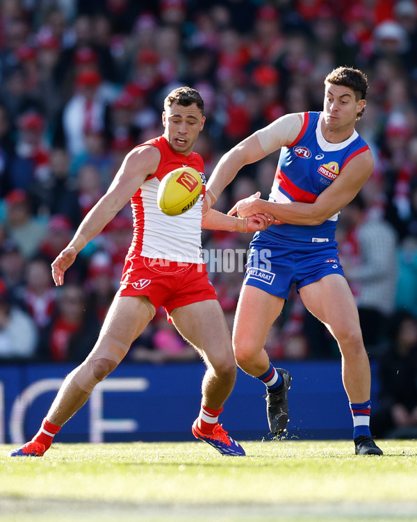 AFL 2024 Round 20 - Sydney v Western Bulldogs - A-52230846