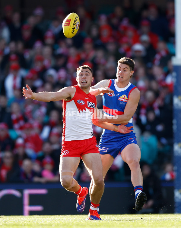 AFL 2024 Round 20 - Sydney v Western Bulldogs - A-52230861