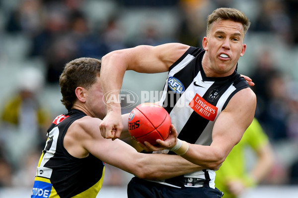 AFL 2024 Round 20 - Collingwood v Richmond - A-52230881