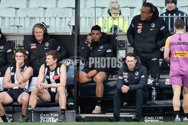 AFL 2024 Round 20 - Collingwood v Richmond - A-52231353