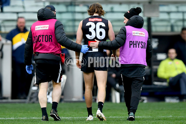 AFL 2024 Round 20 - Collingwood v Richmond - A-52231393